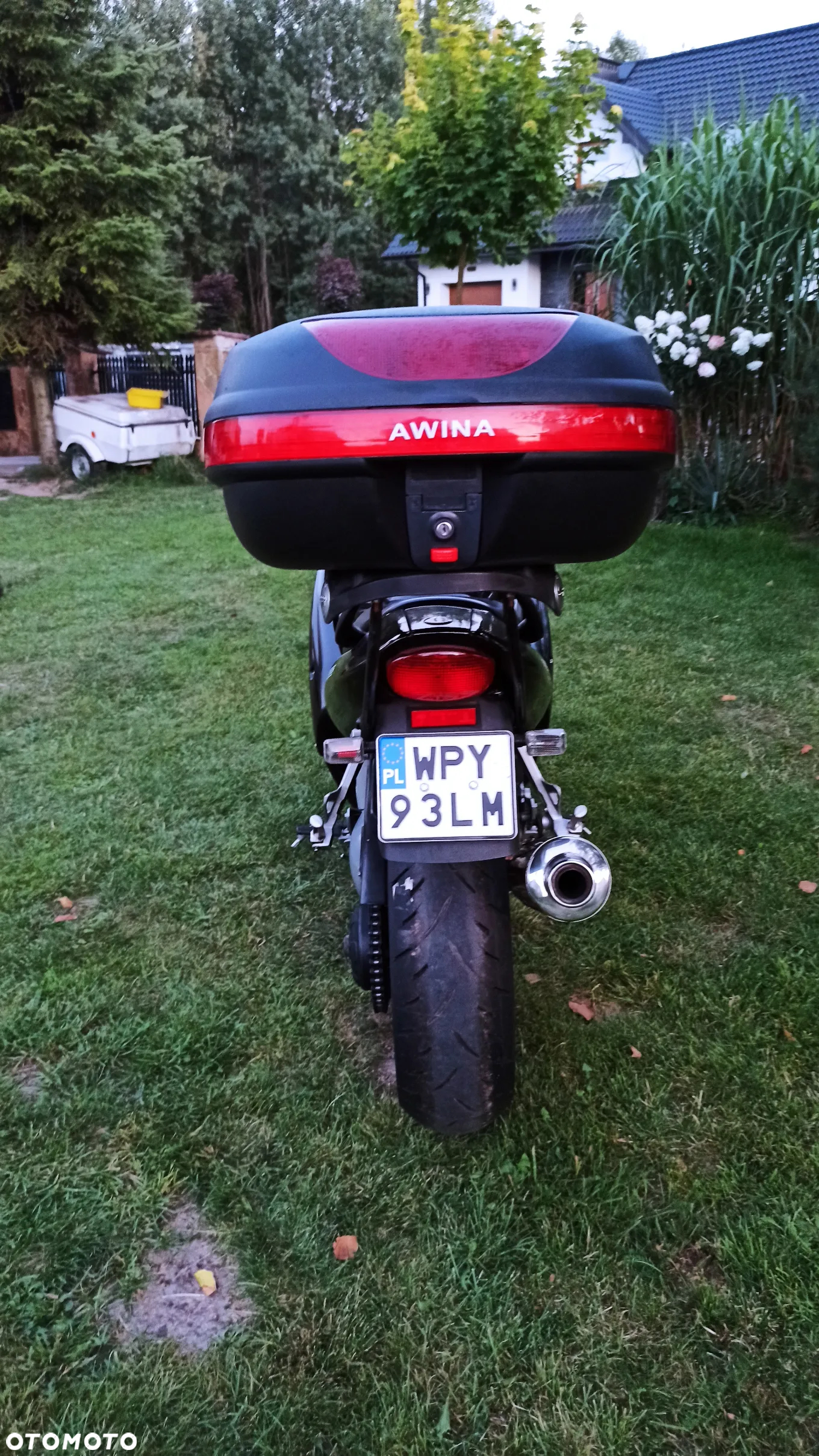 Triumph Sprint - 21