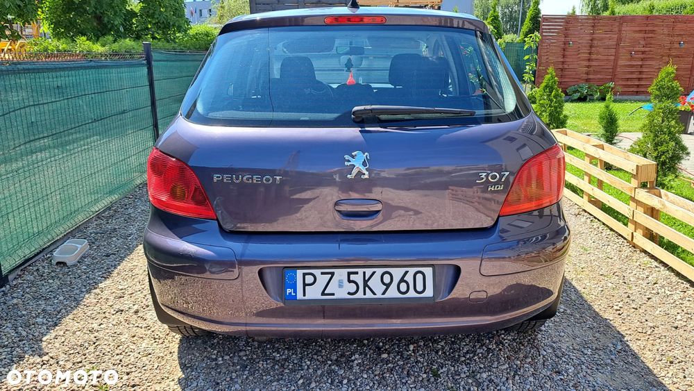 Peugeot 307 HDi 90 Grand Filou - 13