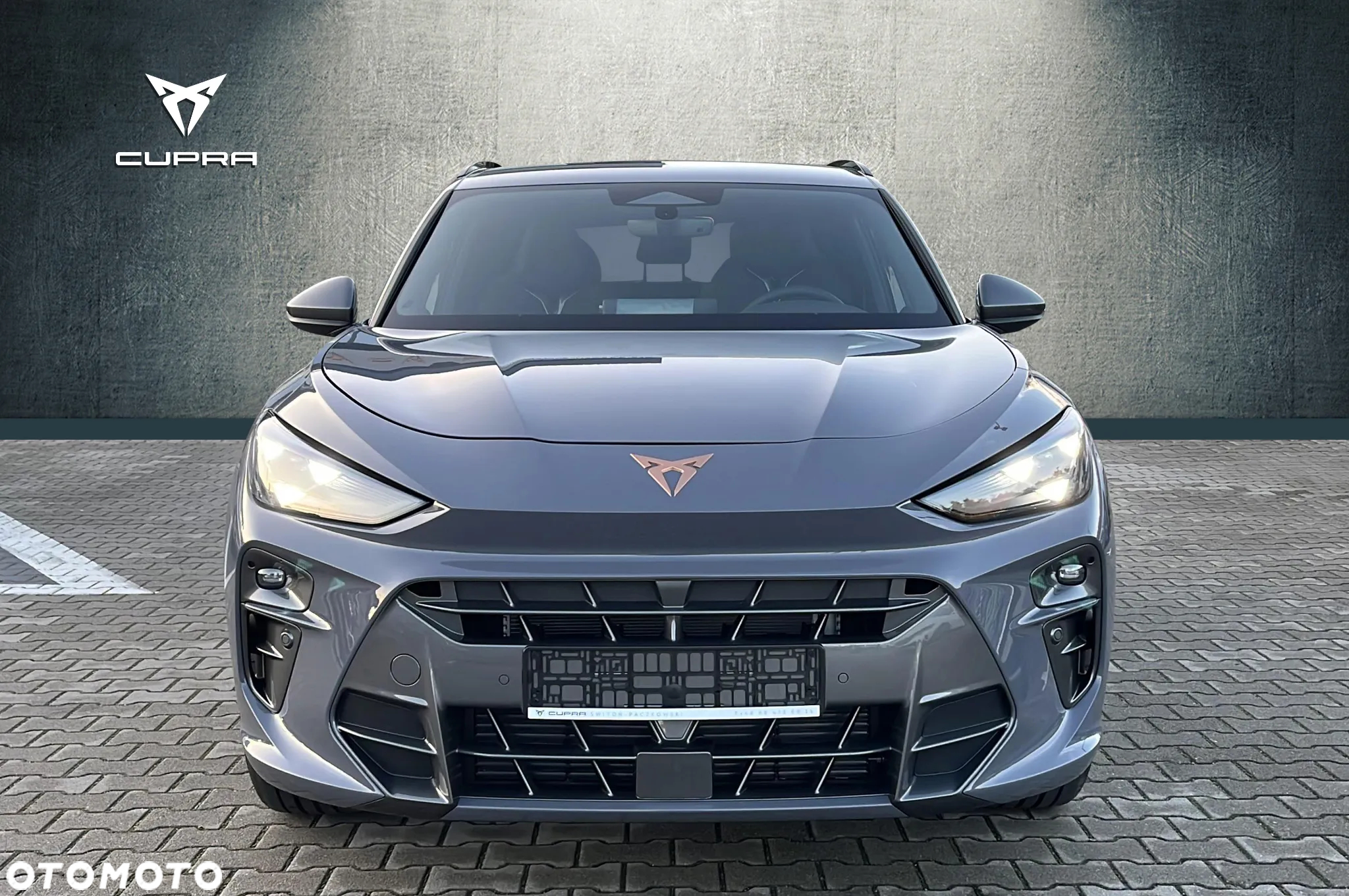 Cupra Terramar 2.0 TSI 4Drive VZ DSG - 4