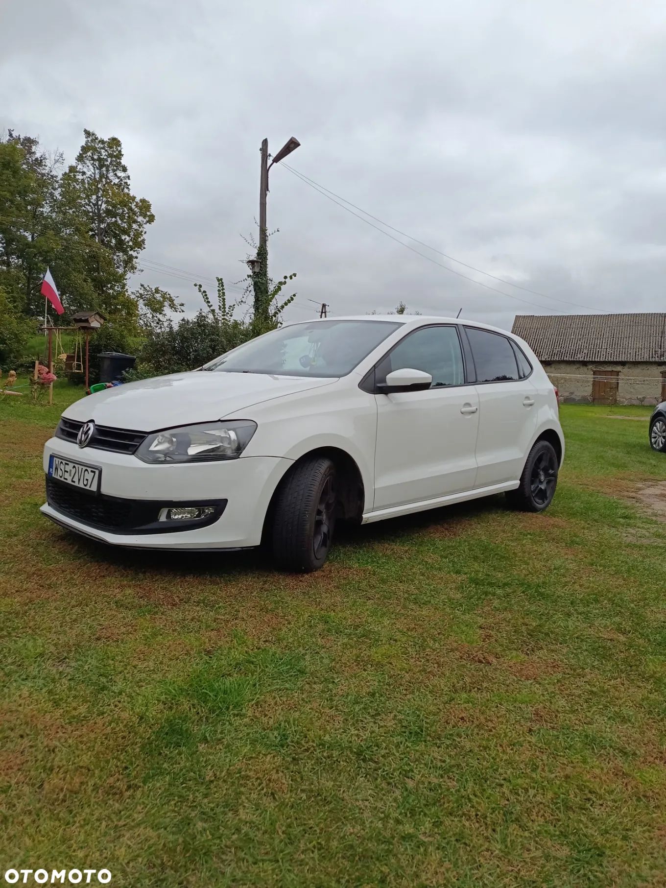 Volkswagen Polo - 1