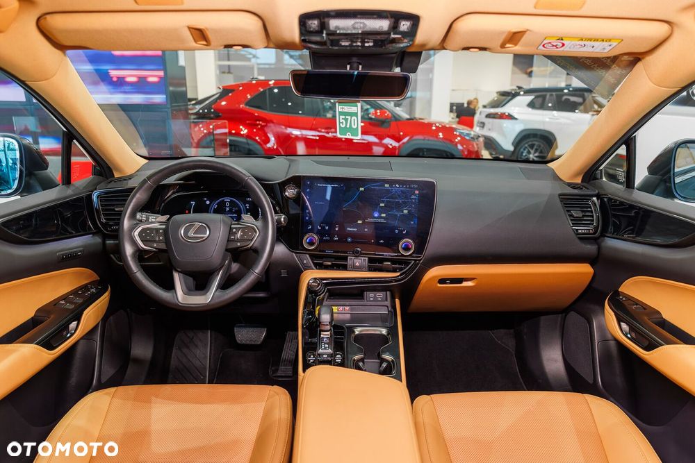 Lexus NX - 6