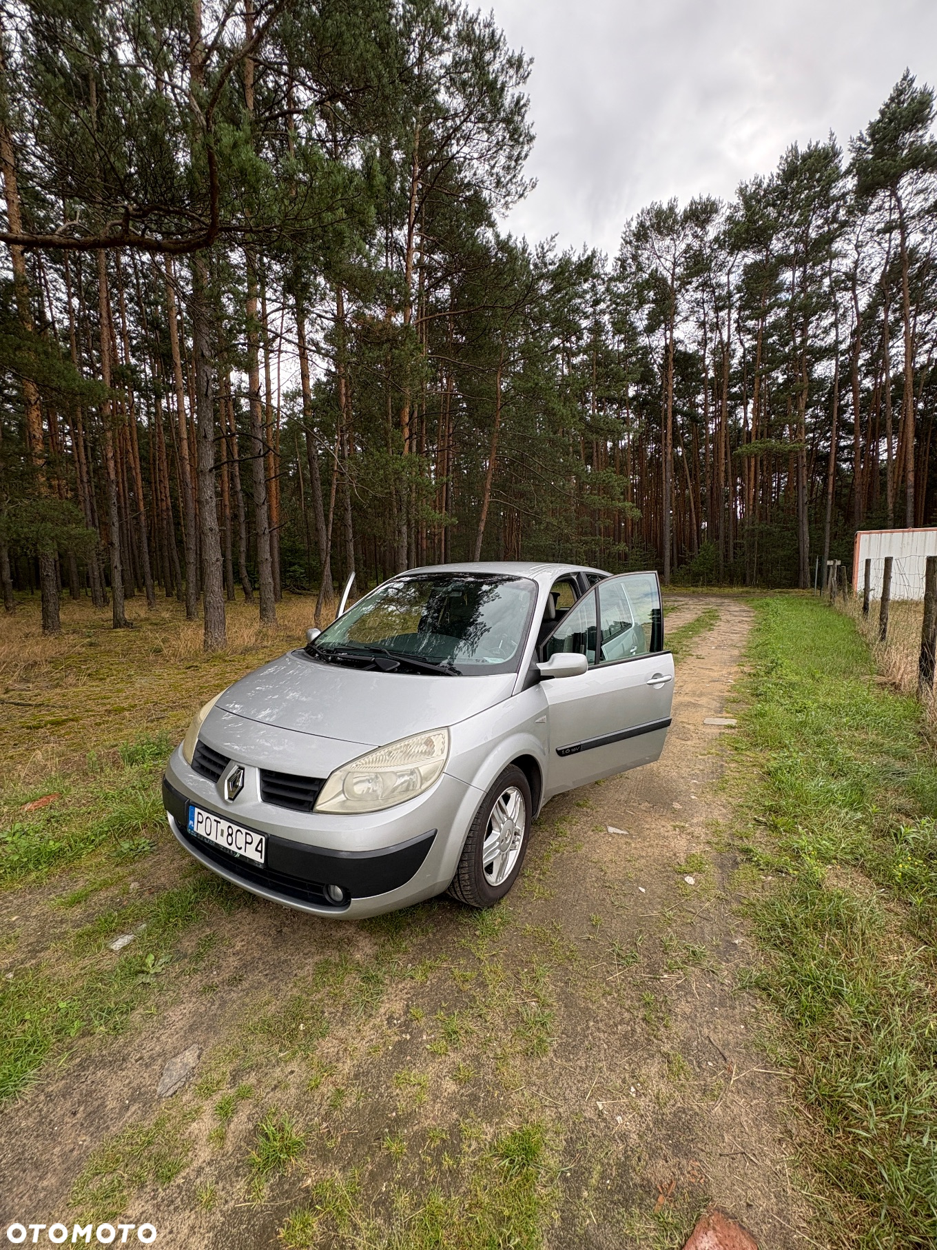 Renault Scenic - 6