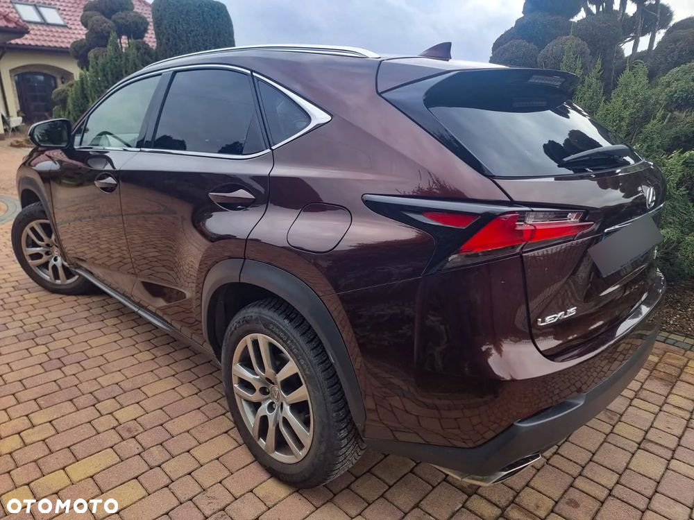Lexus NX 200t Comfort AWD - 5