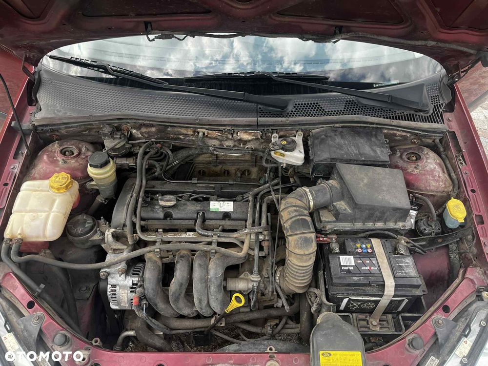 Ford Focus 1.6 FX Gold / Gold X - 13