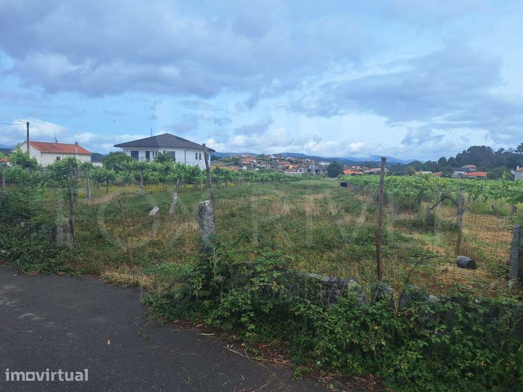 TERRENO PARA CONSTRUÇÃO - MONÇÃO - Grande imagem: 4/4