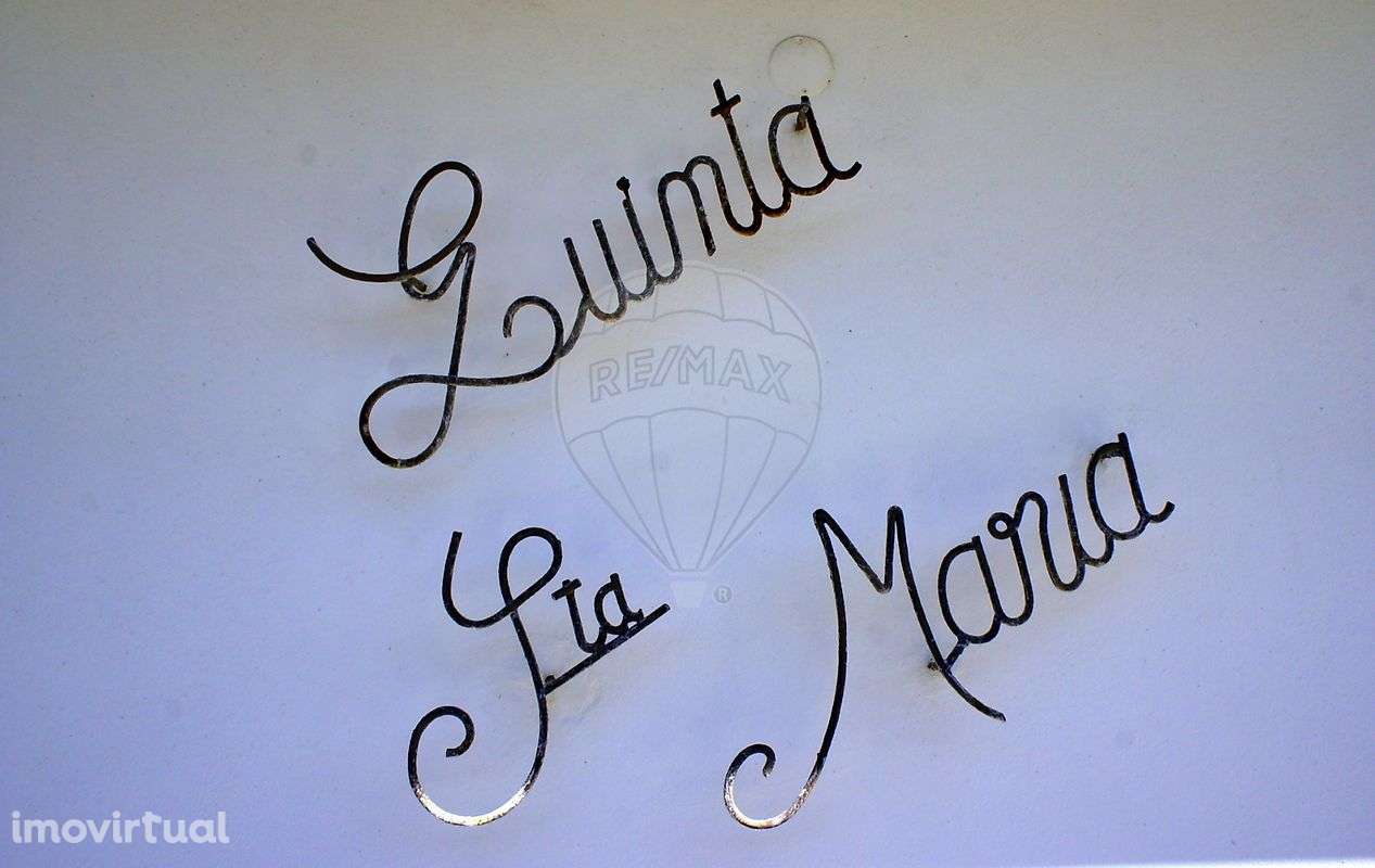 Quinta T9 para venda - Grande imagem: 2/28