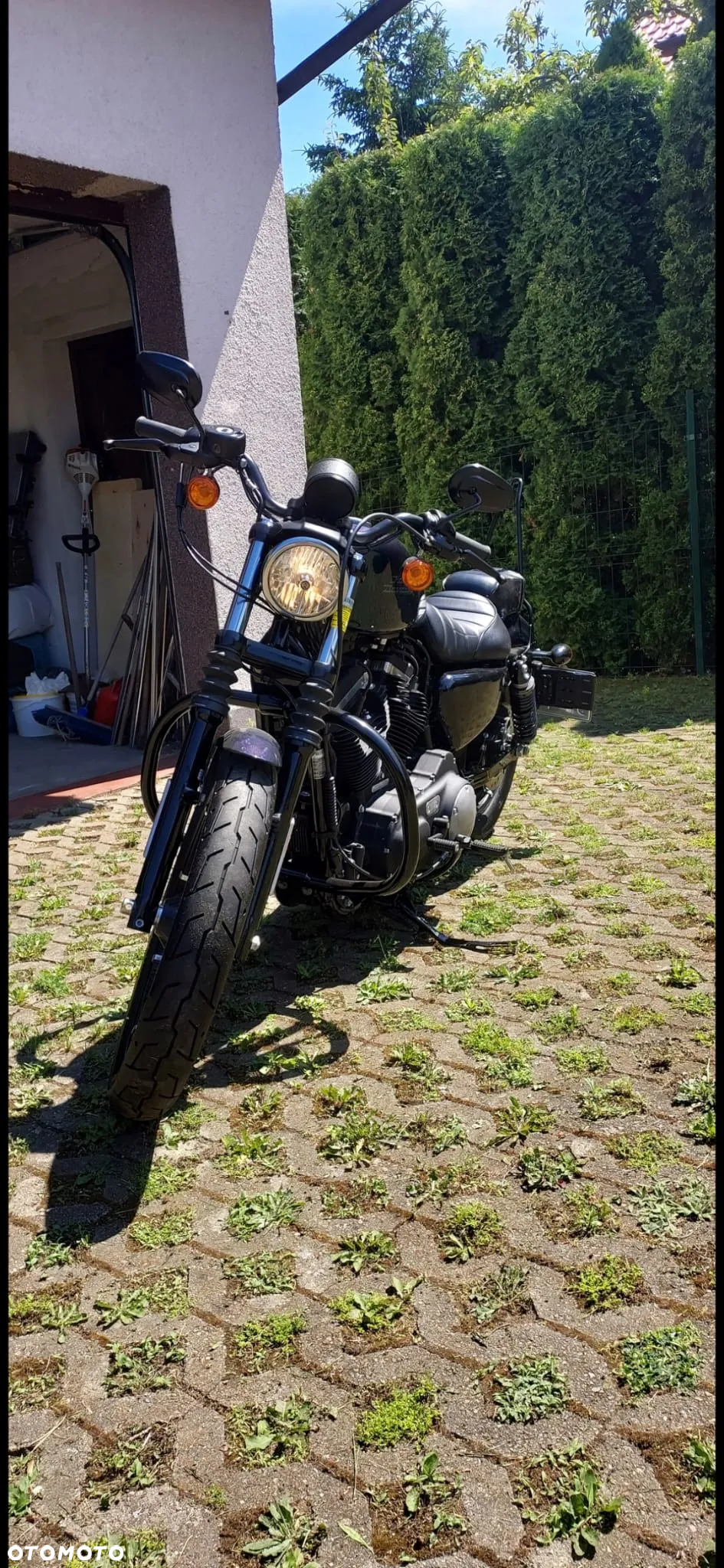 Harley-Davidson Sportster Iron 883 - 2