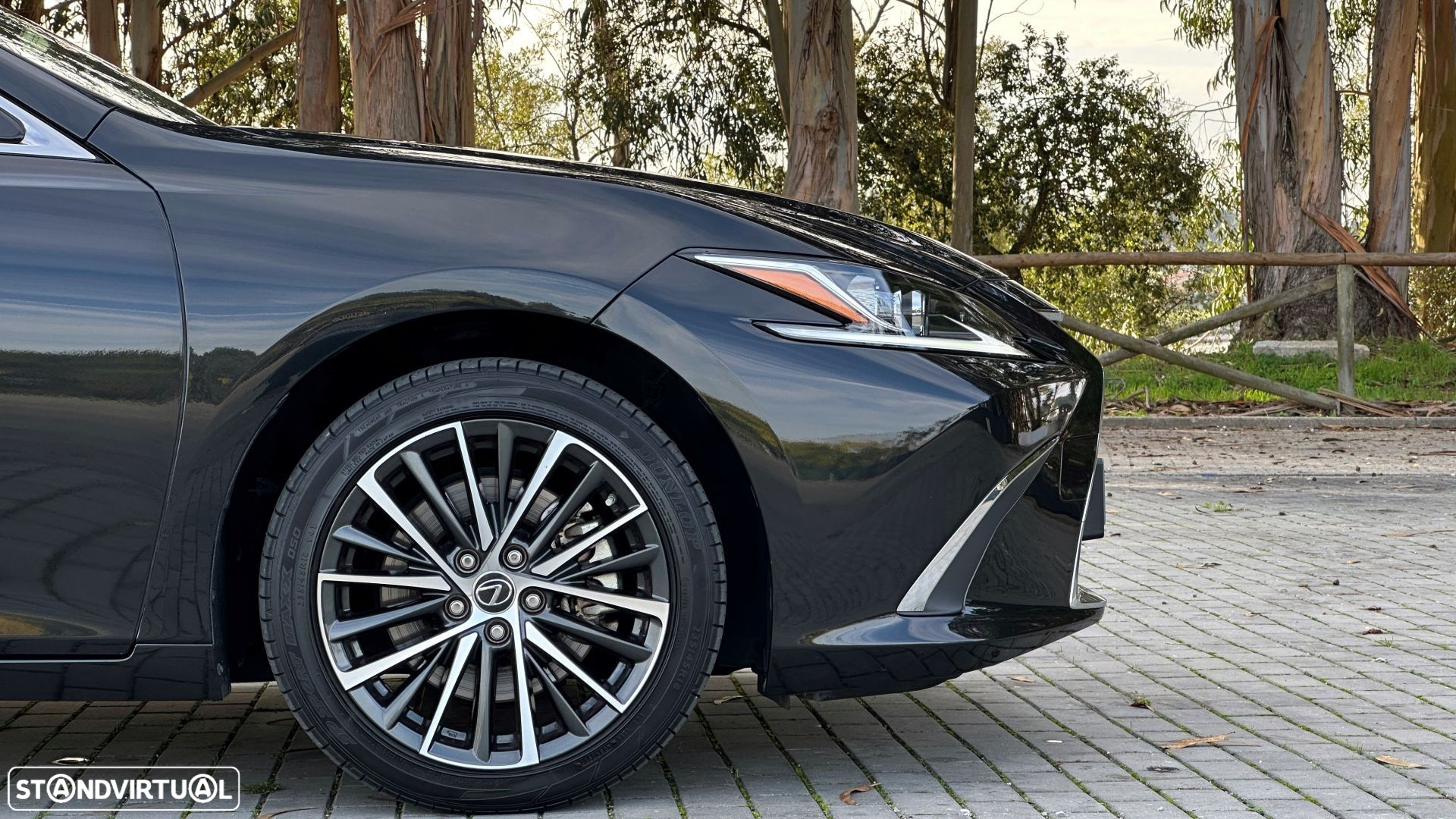 Lexus ES 300h Special Edition - 18