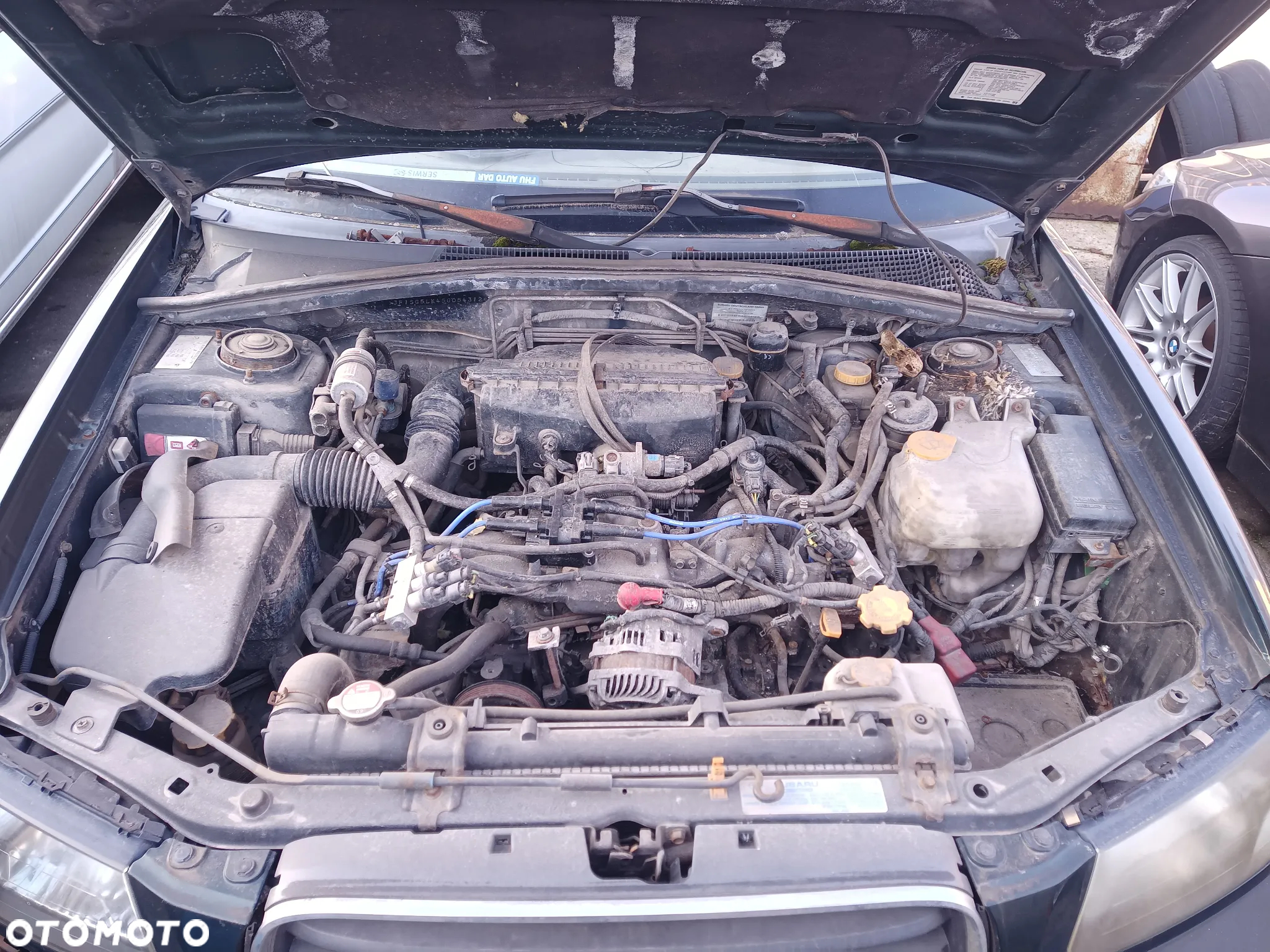 Subaru Forester - 6