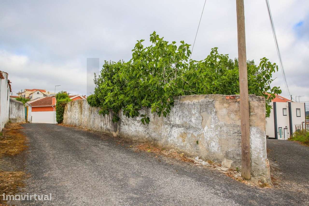Moradia T2 com adega, quintal e árvores de fruto - Grande imagem: 2/26