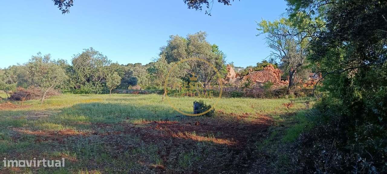 Casa de campo para recuperar em Loulé - Grande imagem: 5/13