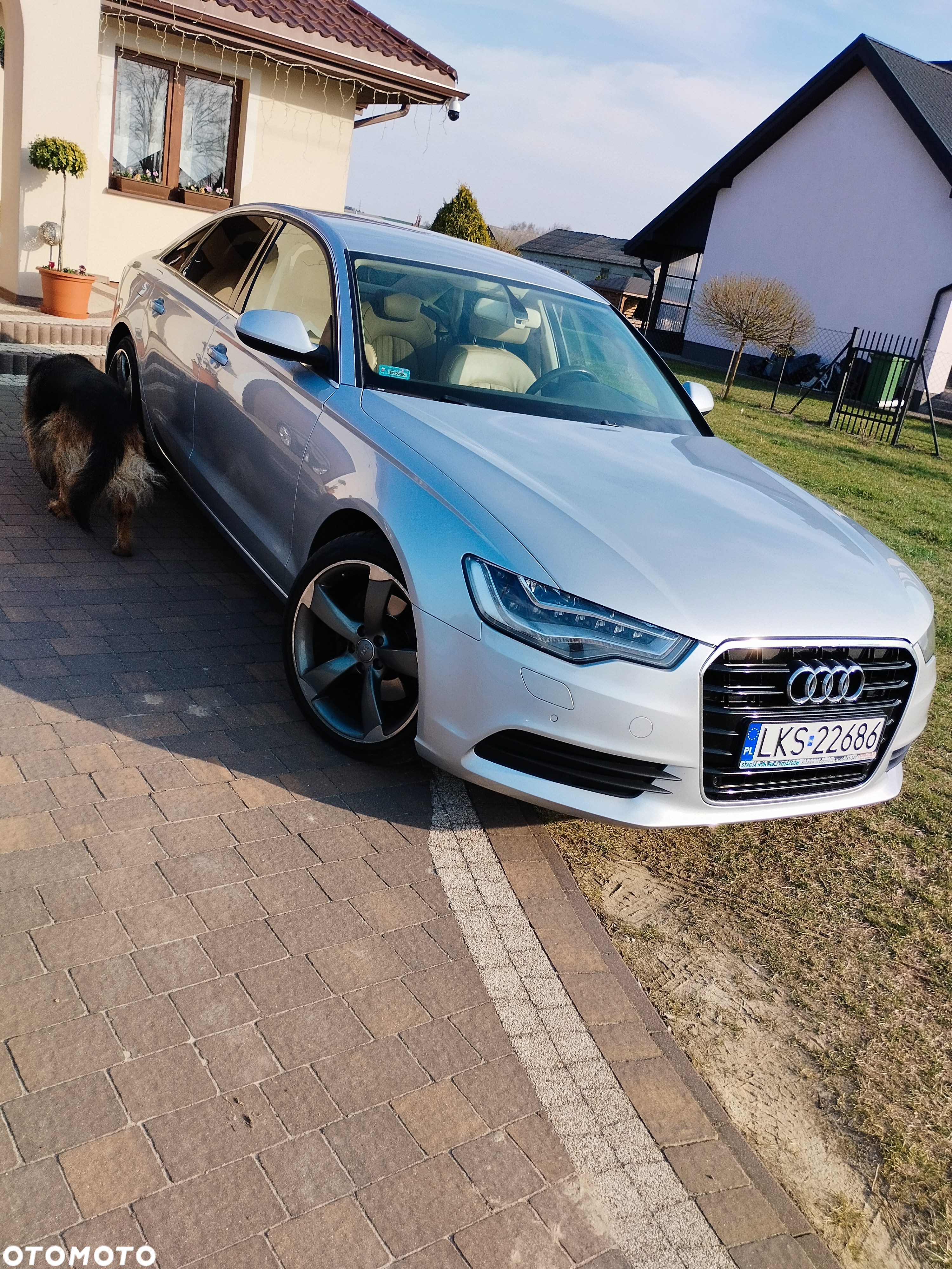 Audi A6 2.0 TDI DPF - 2