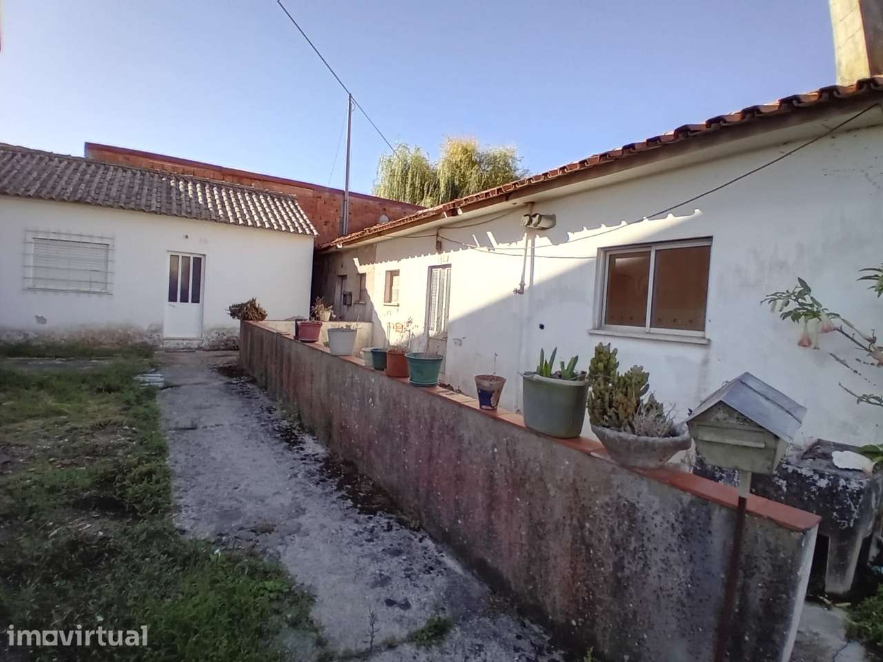 3 moradias com logradouro / Cruz da Légua / Porto de Mós - Grande imagem: 2/3