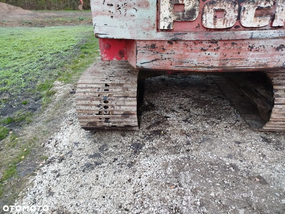 Case 61 błotniak - 2