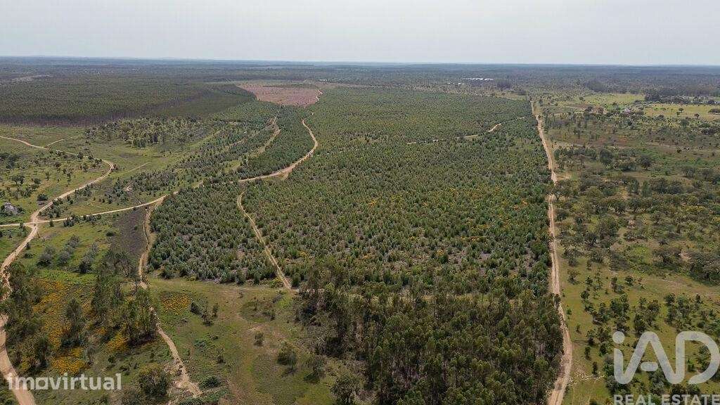 Terreno Agrícola em Bemposta - Grande imagem: 5/31