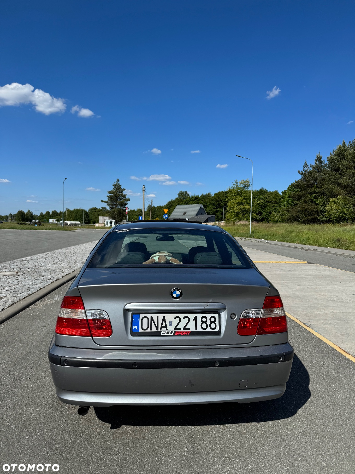 BMW Seria 3 318i - 2