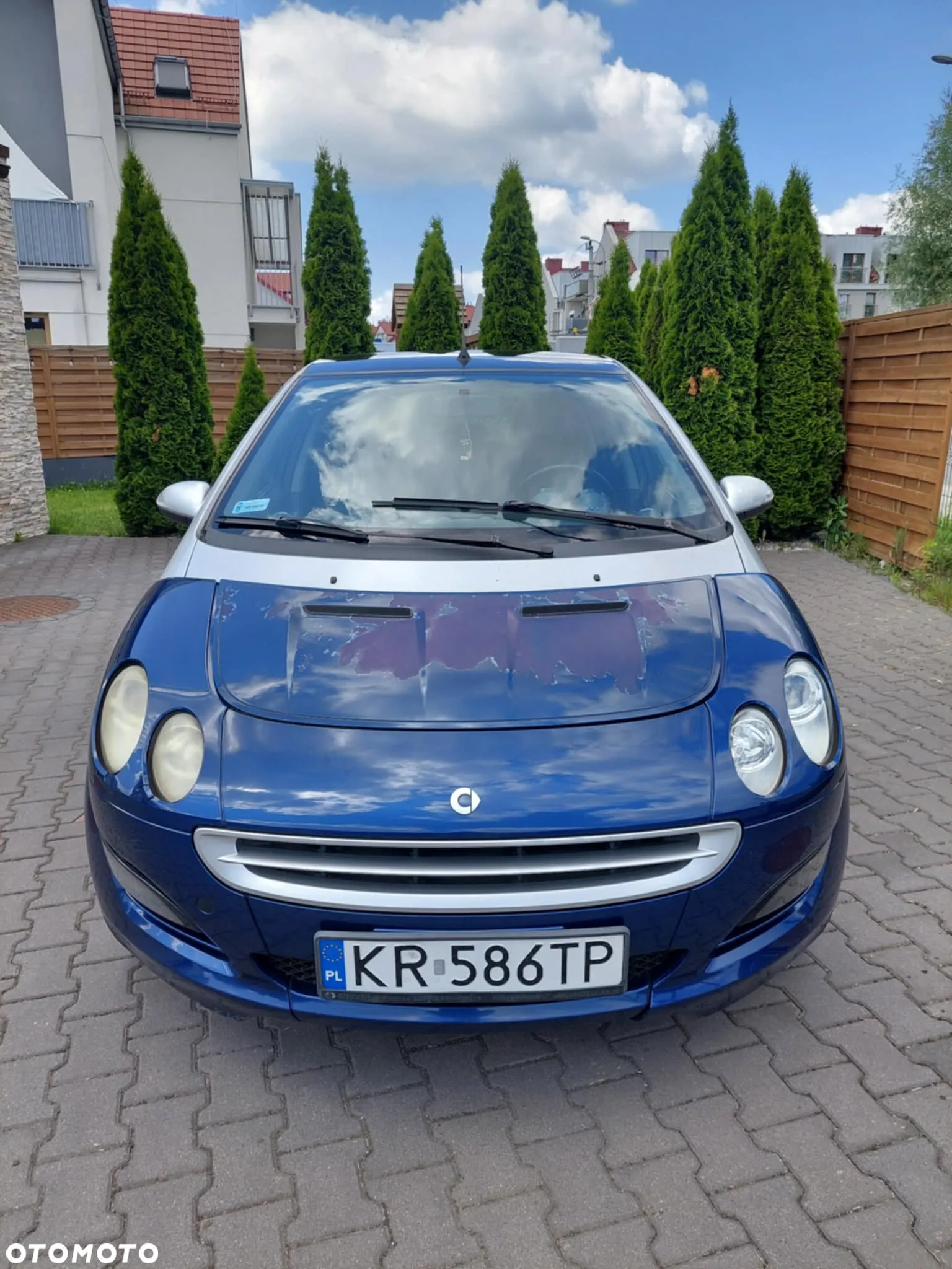 Smart Forfour - 19