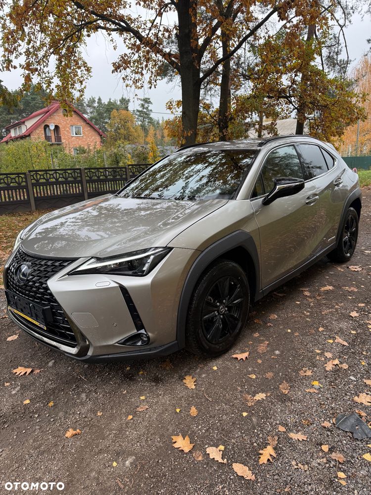Lexus Ux 2023 photo 2