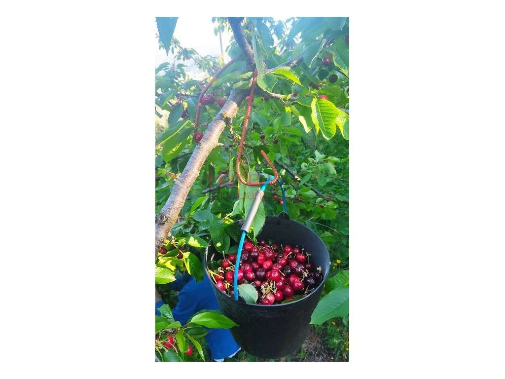 TERRENO AGRÍCOLA - Grande imagem: 2/19
