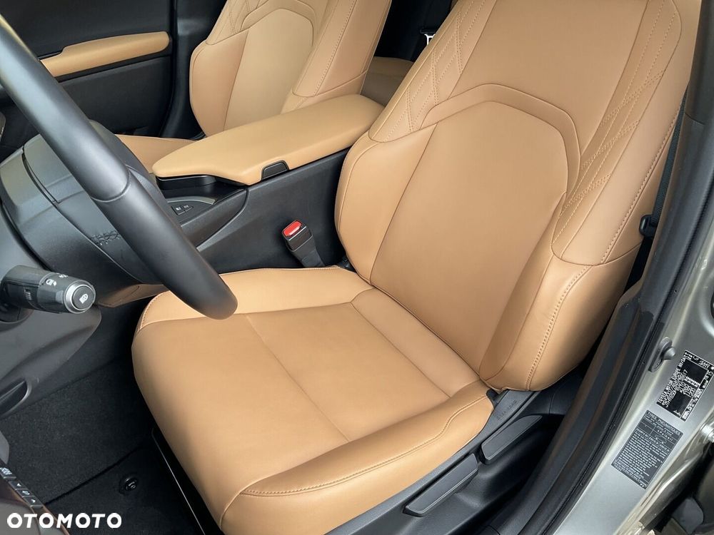 Lexus UX 250h GPF F Sport Design 2WD - 17
