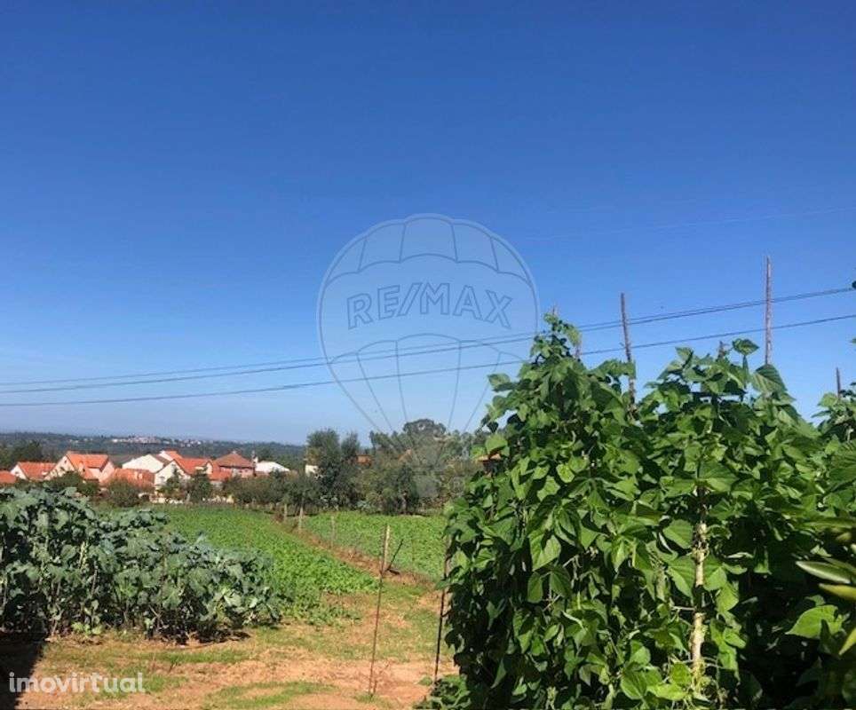 Terreno  para venda - Grande imagem: 2/8