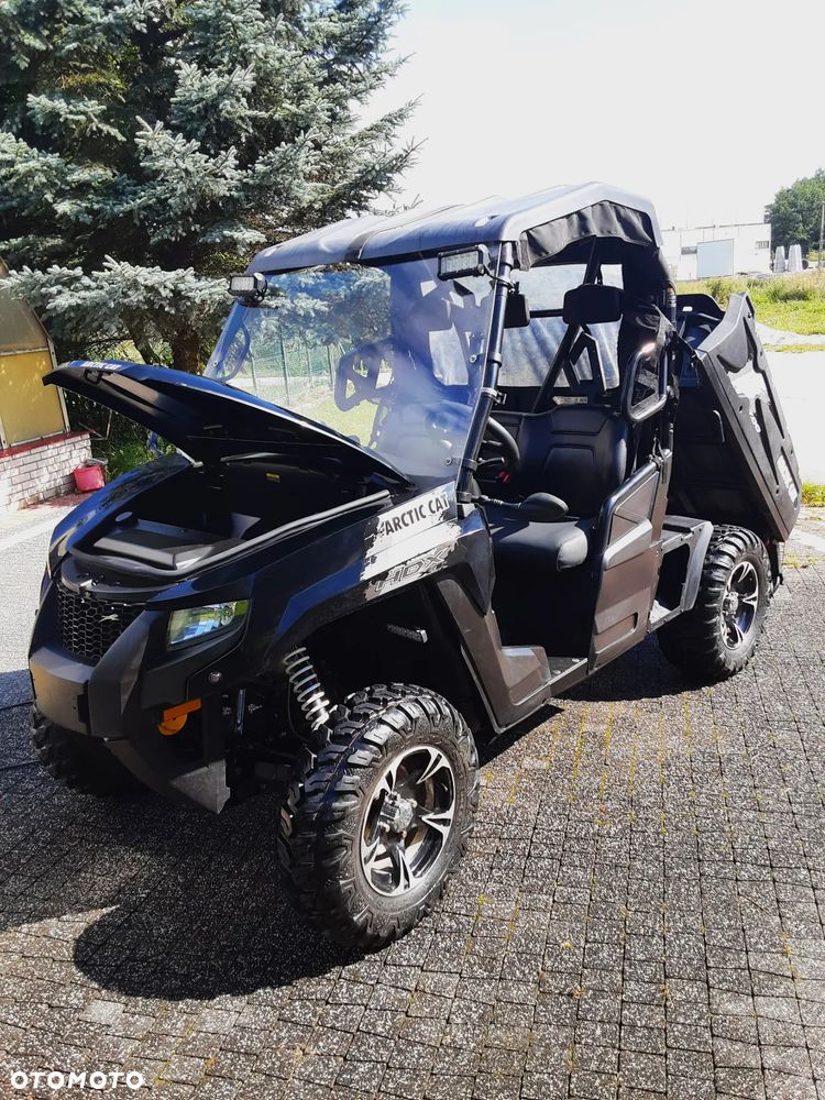 Arctic Cat Inny