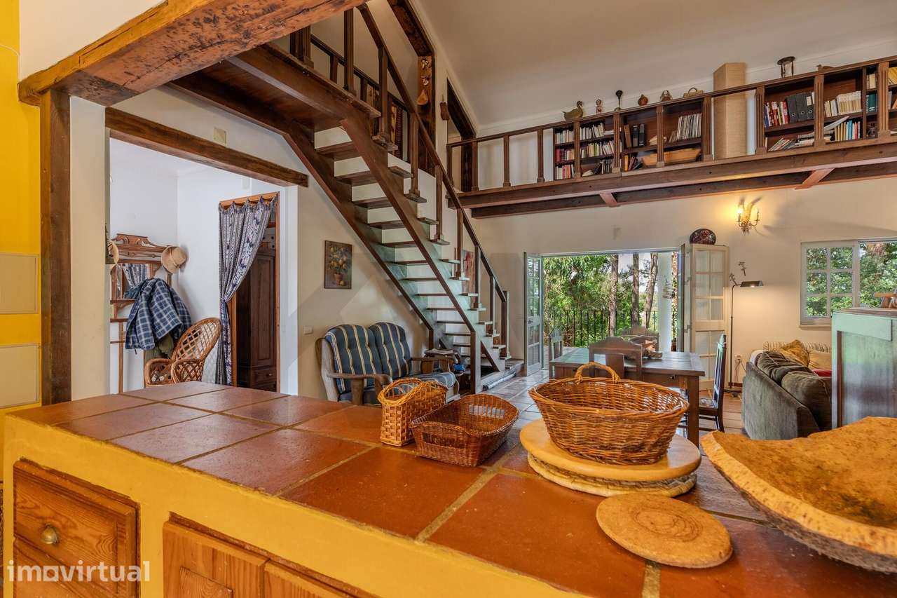 Moradia Térrea  Tradicional 7 assoalhadas e com 5.120 m2 de Terreno – - Grande imagem: 3/60