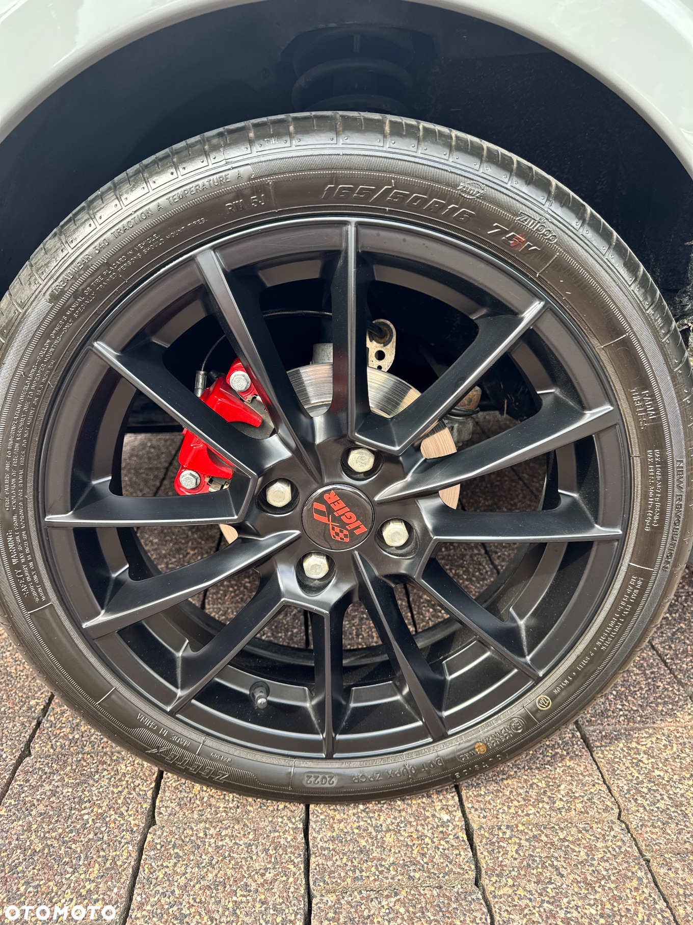 Ligier JS50 - 19