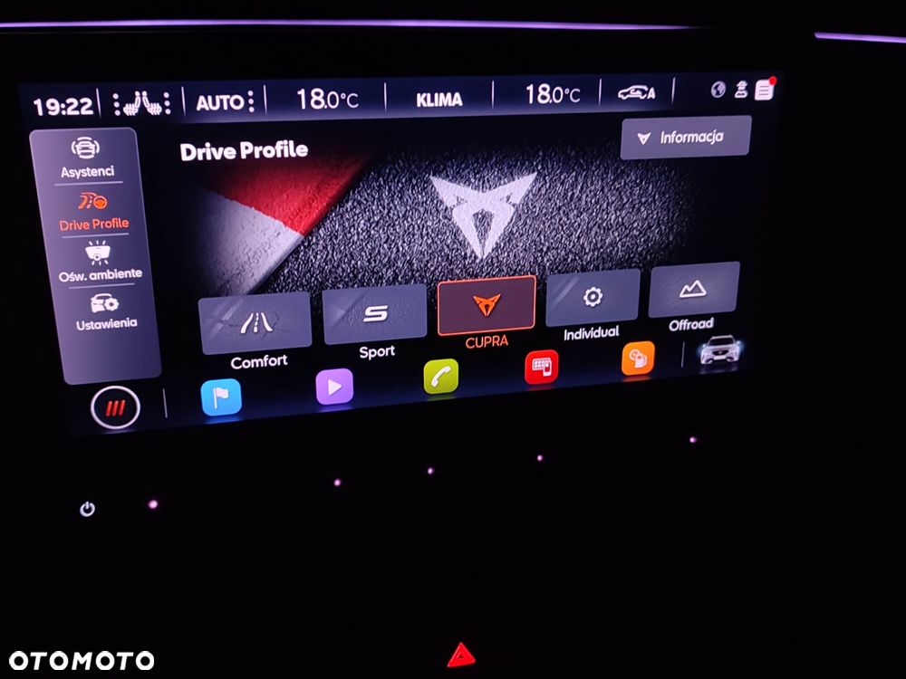 Cupra Formentor 2.0 TSI 4Drive VZ DSG - 31