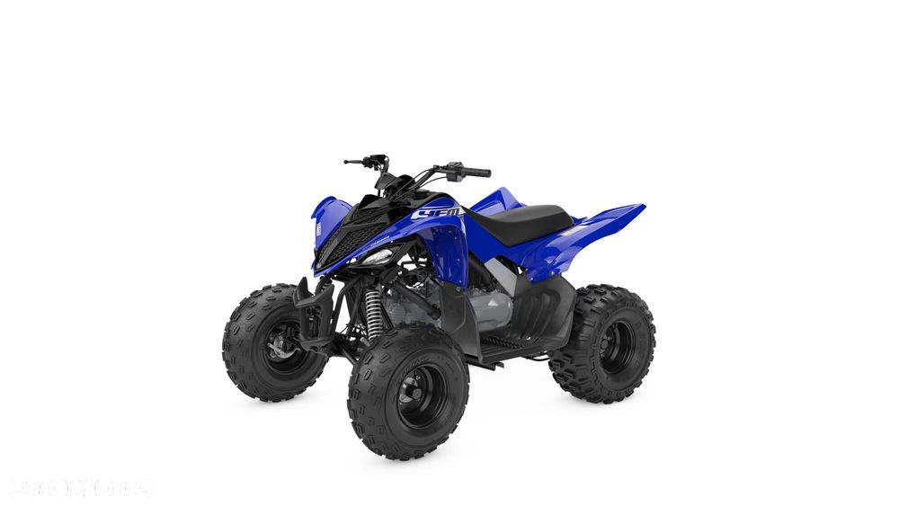 Yamaha Raptor - 6
