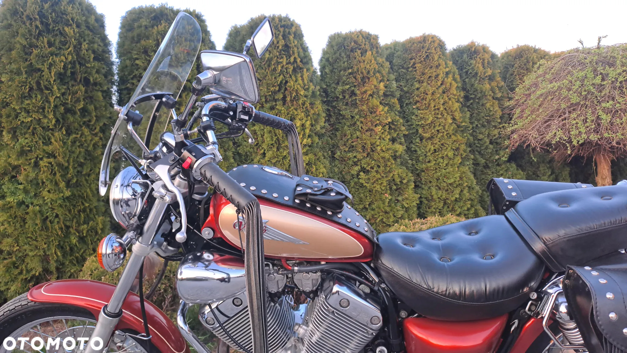 Yamaha Virago - 21