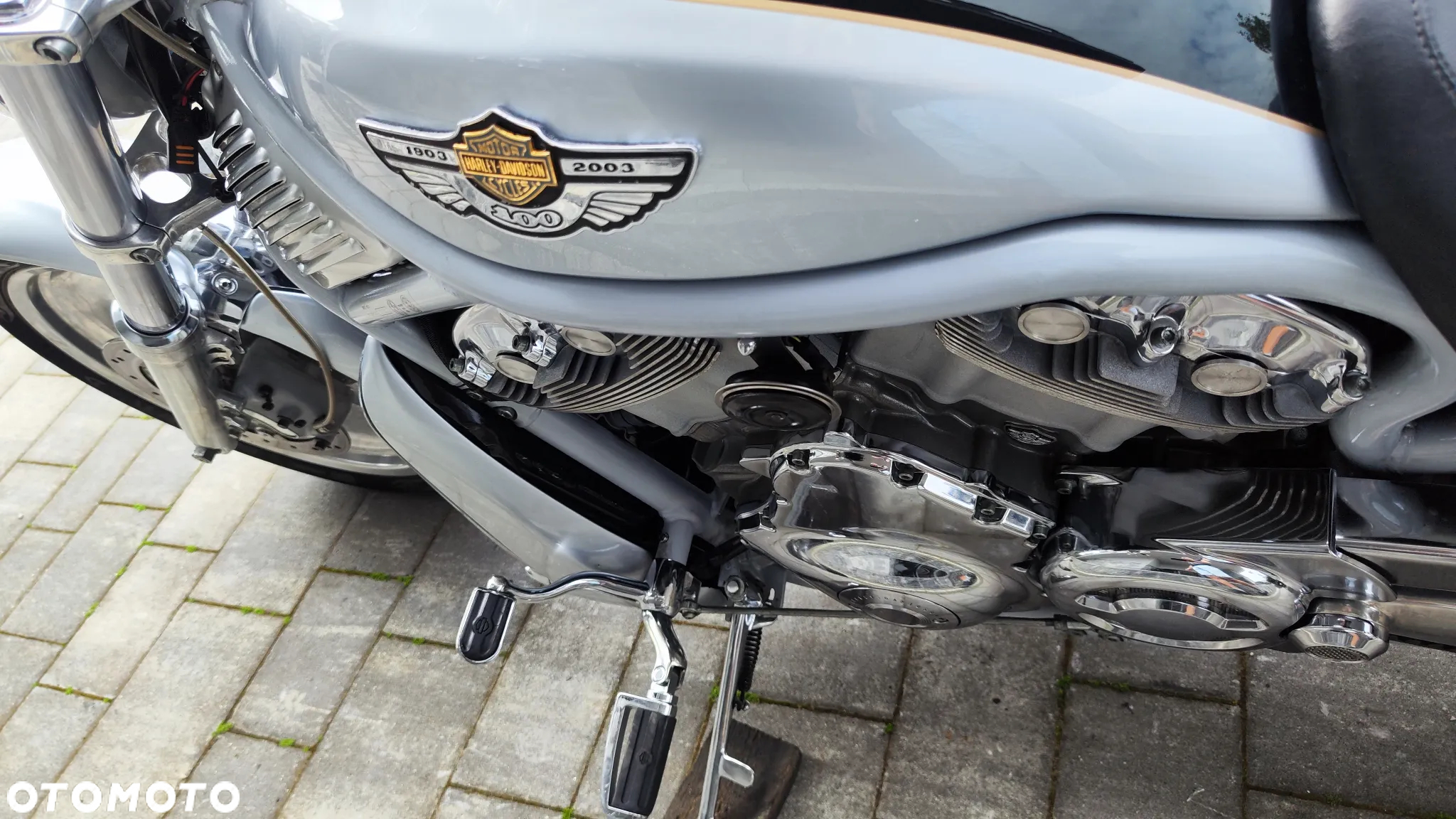 Harley-Davidson Softail V-Rod - 24