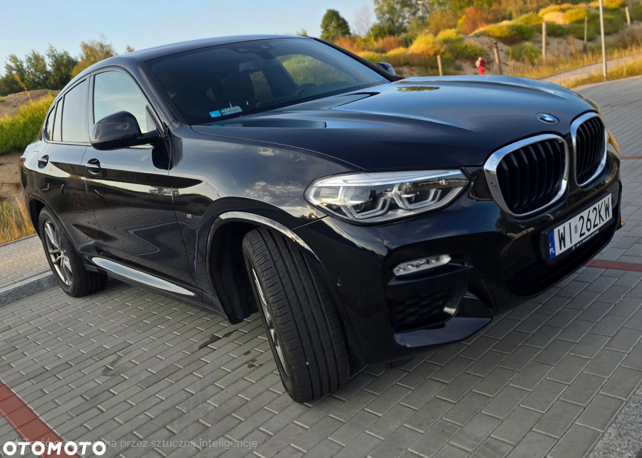 BMW X4 xDrive30i GPF M Sport X sport - 1