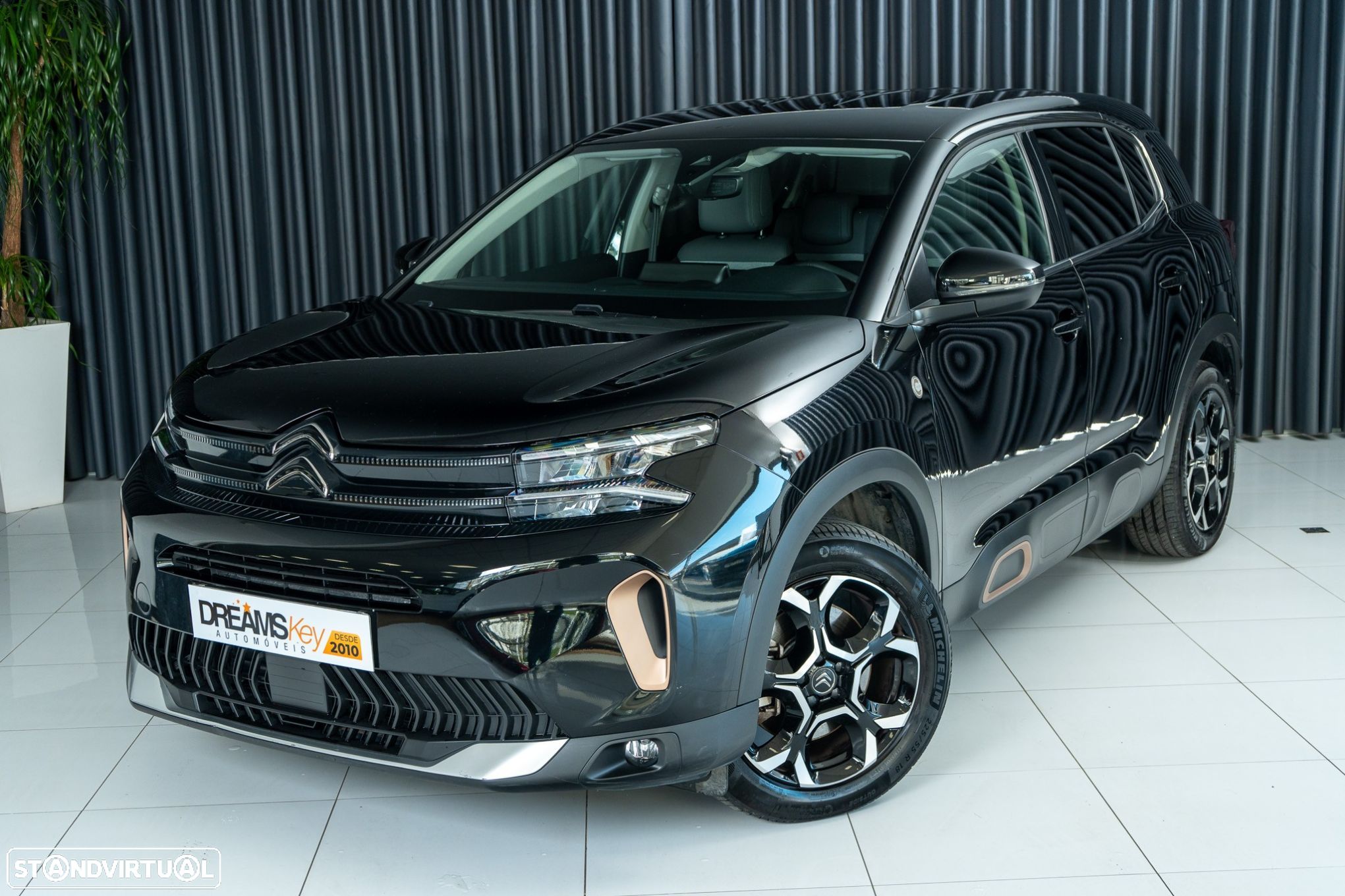 Citroën C5 Aircross 1.6 Hybrid C-Series e-EAT8 - 1