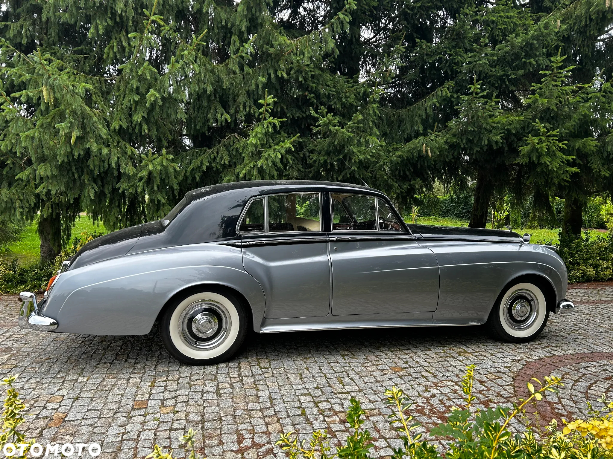 Bentley Inny - 5