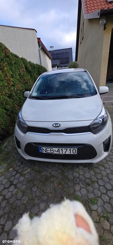 Kia Picanto 2017 photo 2