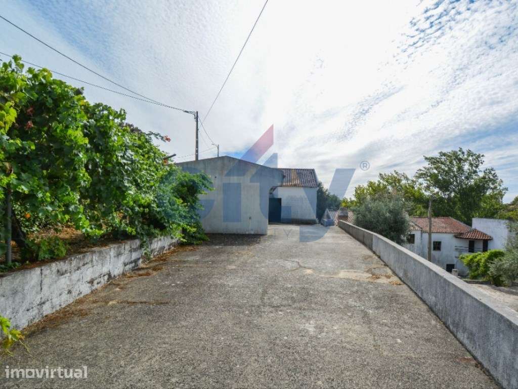 Quintinha com Elevado Potencial Turístico em Avis (Pisão) - Grande imagem: 3/34