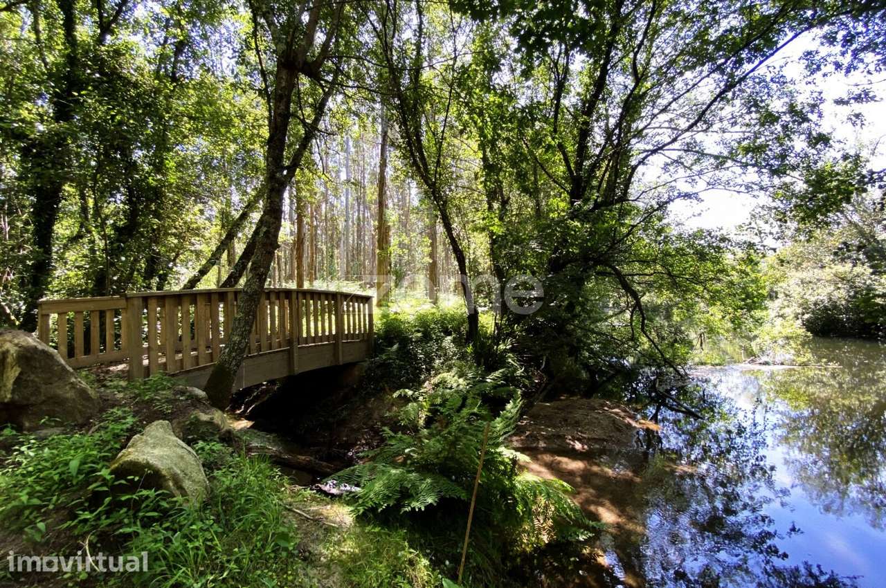 Terreno com Potencial para Turismo em Espaço Rural, Forjães, Espose... - Grande imagem: 2/15