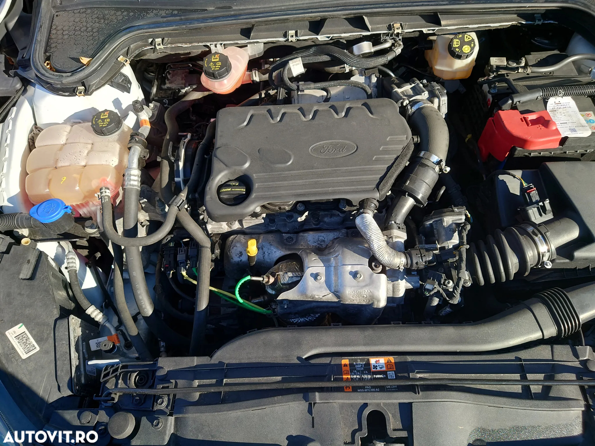 Ford Focus 1.5 EcoBlue Start-Stopp-System Aut. COOL&CONNECT - 21