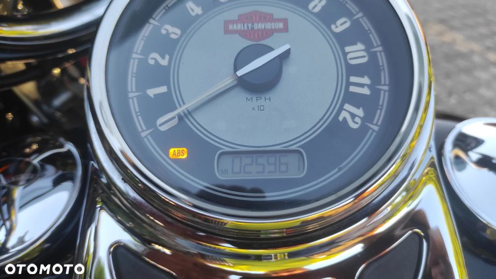 Harley-Davidson Softail - 6