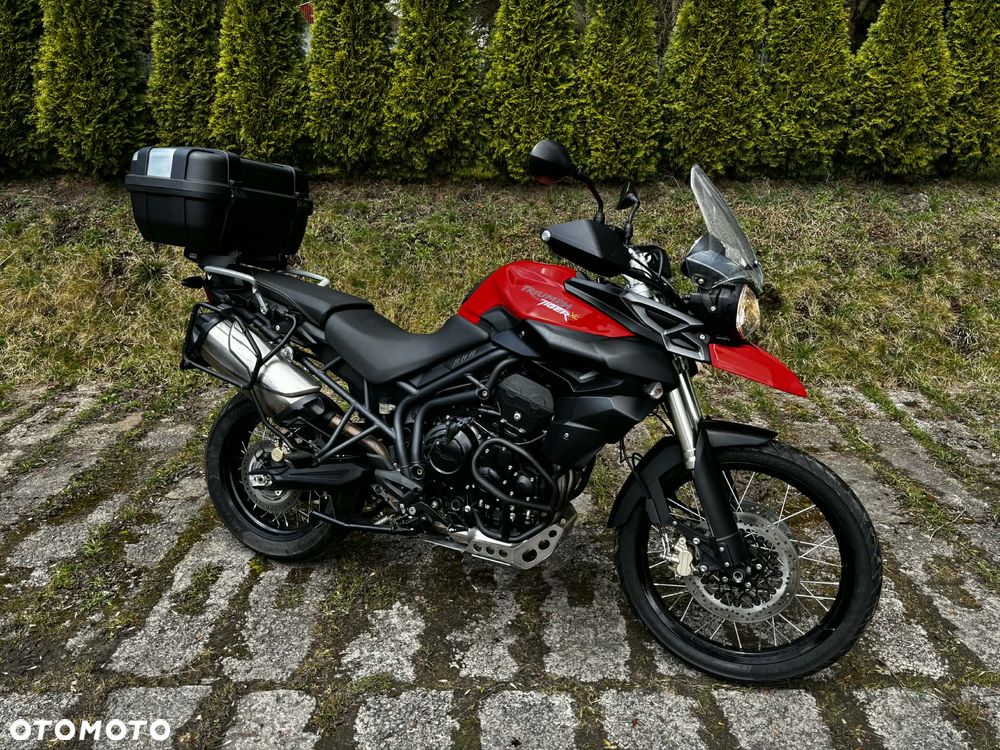 Triumph Tiger - 1