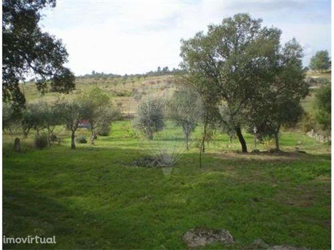 Terreno  para venda - Grande imagem: 5/10