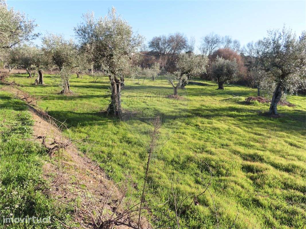 Quinta  para venda - Grande imagem: 3/35