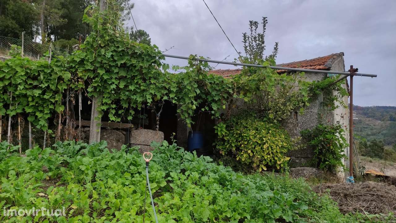 Moradia Devoluta T0 Venda em Santa Cruz do Douro e São Tomé de Covelas - Grande imagem: 3/21