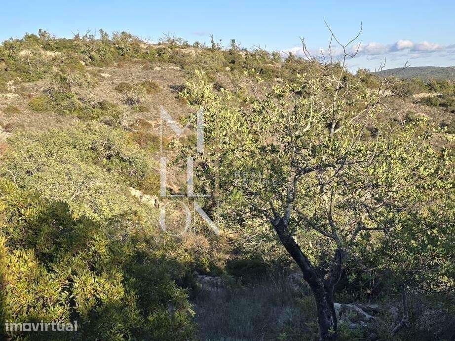 Conjunto de 2 terrenos rústicos  área total superior a 12.000 m2– CERR - Grande imagem: 5/13