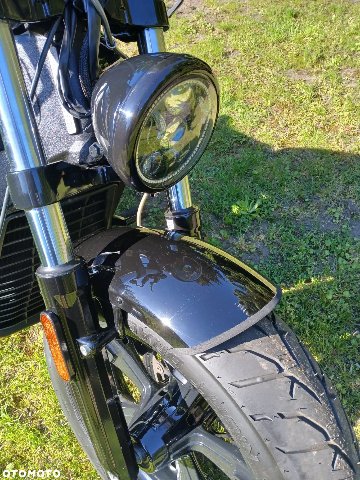 Indian Scout - 37