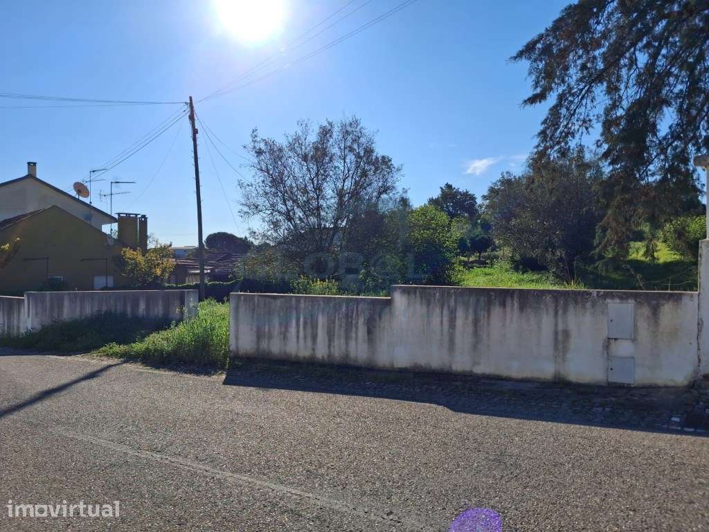 Terreno com cerca de 10.240 m², localizado em Almonda, numa zona tr... - Grande imagem: 4/8