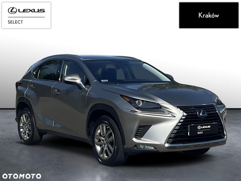 Lexus NX 300h Business Edition AWD - 7