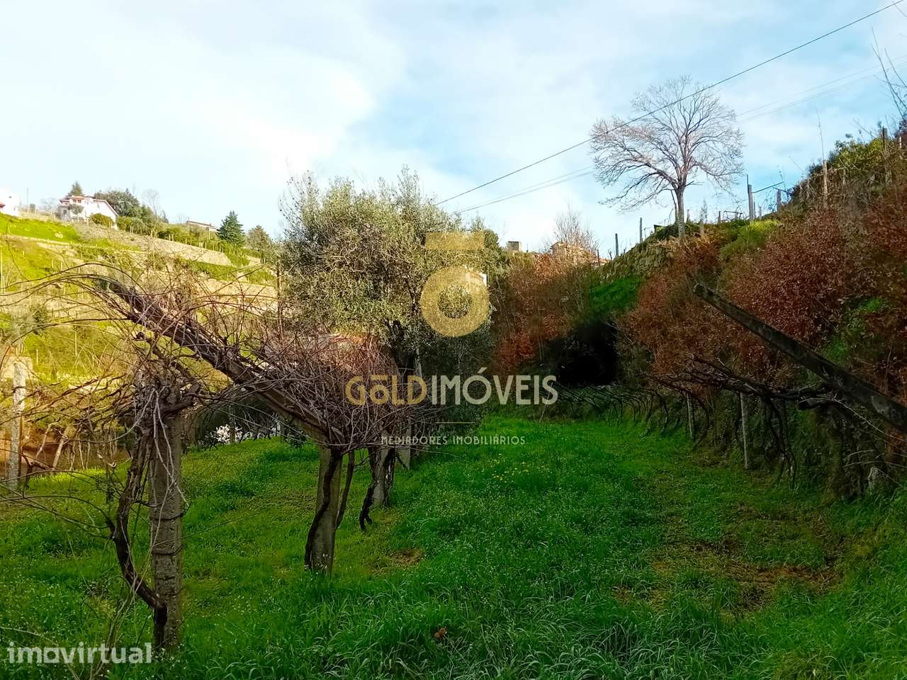 Moradia T3 Venda em Santa Maria de Sardoura,Castelo de Paiva - Grande imagem: 4/53