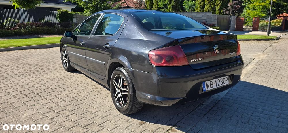 Peugeot 407 - 8